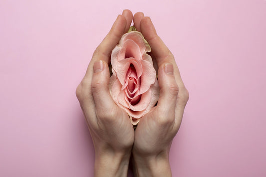 Rose dans des mains d'une femme, évoquant la sensualité et le cycle féminin.