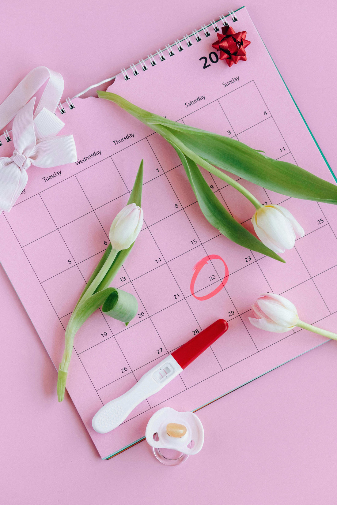 comprendre les 4 phases du cycle menstruel