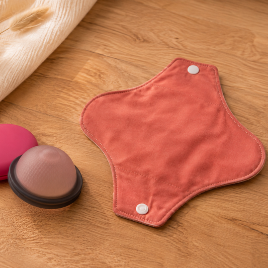 bundle_disque_menstruel_taille_l_et serviette_lavable_normal