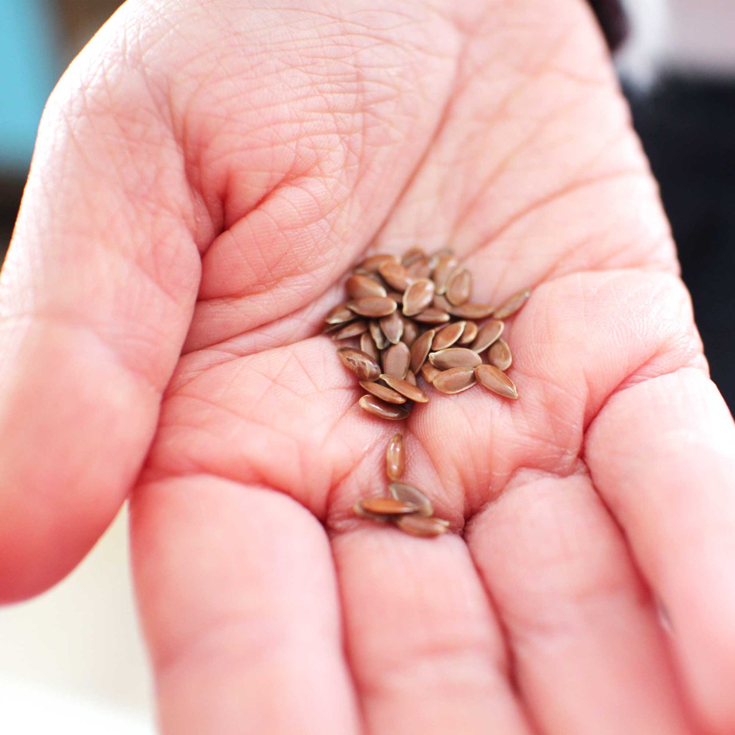 Bouillotte sèche - compresse graines de lin bio fait main marine et rose taille réel